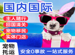 滋润航空运输国际宠物托运 【国